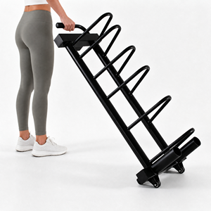 Weight Plate Storage Rack Steel Plate Holder Organizer With Mobile Wheels
