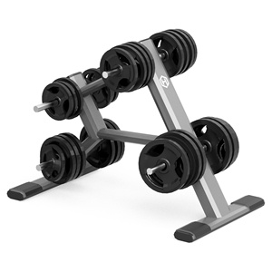 Heavy Duty Steel Free Weight Equipment Strength Training Room Plate Tree Weight Plate Storage Rack Floor Stand Organizer